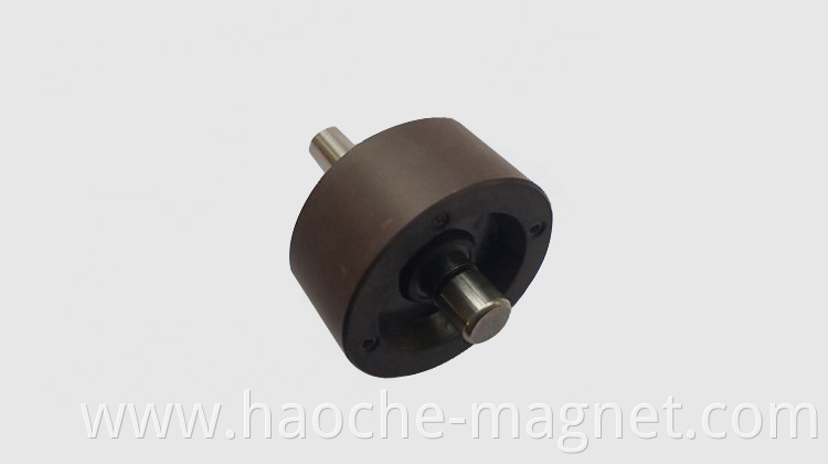 China Plastic Injection Ferrite Magnetic Rotor Oil Pump Rotor Magnet